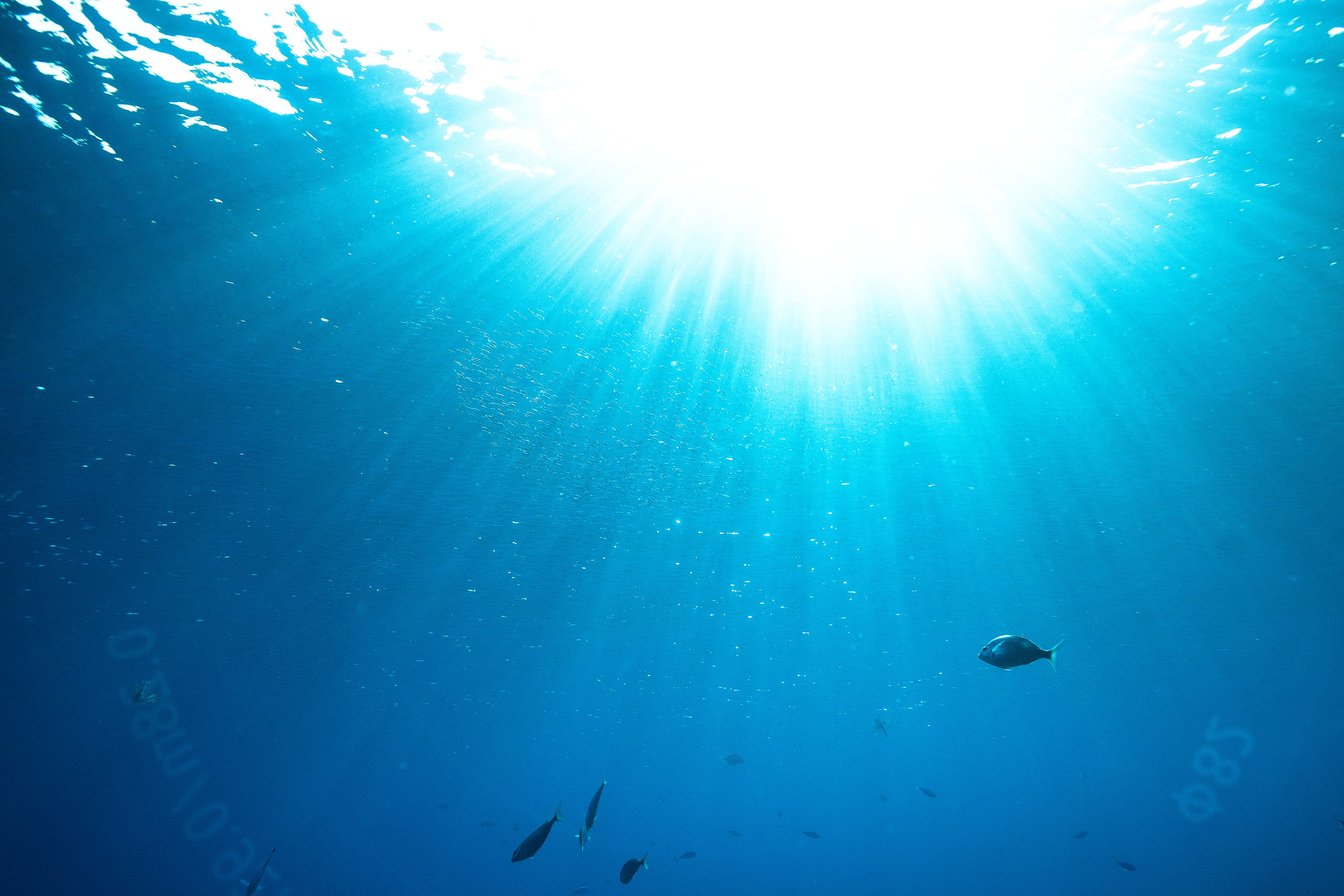 Sunrays underwater